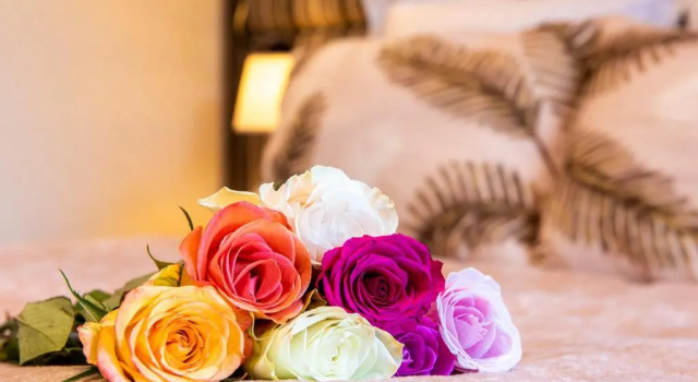 Двухместный номер Deluxe Les Trésoms Lake and Spa Resort