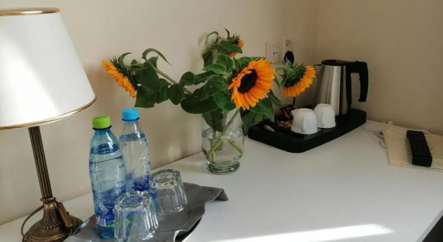 Номер Economy Hotel u Liska