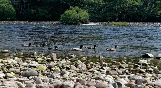 Апартаменты In the heart of Inverness