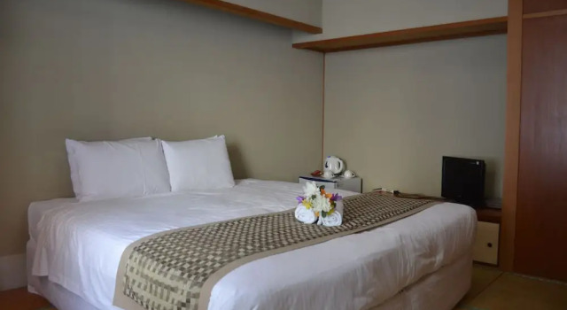Номер Standard Aqua Alpine Hotel