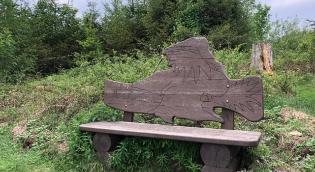 Апартаменты Hahnenklee Ferienpark 7-511