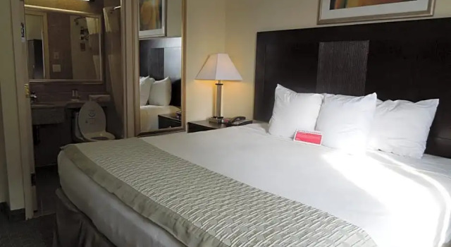 Двухместный номер Business Royal Stay Hotel
