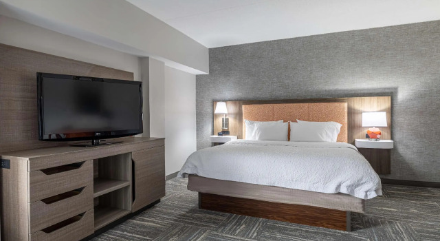 Двухместный номер Standard Hampton Inn & Suites Knoxville-Downtown