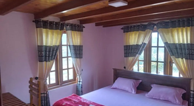 Dream wood villa 02