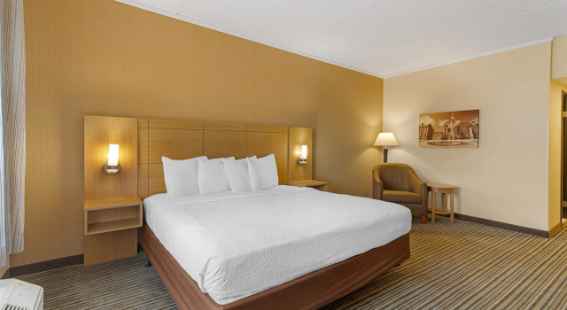 Двухместный номер Deluxe Best Western Royal Plaza Hotel and Trade Center