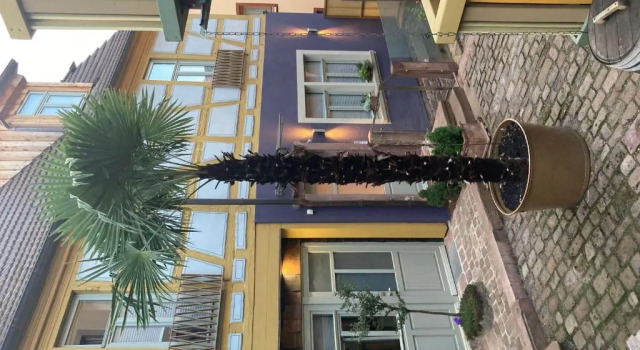 Der-einstige-TAUBENSCHLAG-in-der-Hofstallung-2-geschossiges-Deluxe-Maisonette-Apartment, Забронировать Апартаменты/квартира Апартаменты Нижней Франкония, Апартаменты/квартира