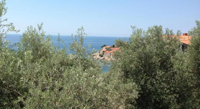 Апартаменты Guest House Sea Breeze