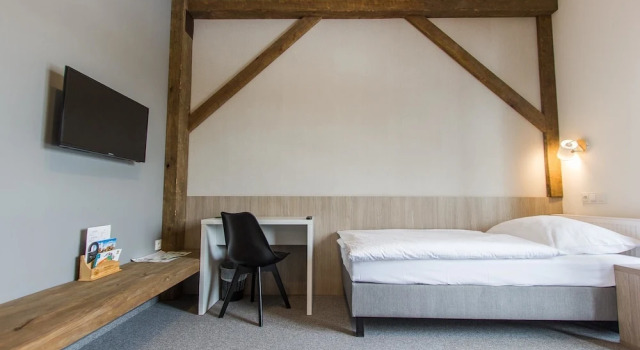 Одноместный номер Standard Hotel Górecznik