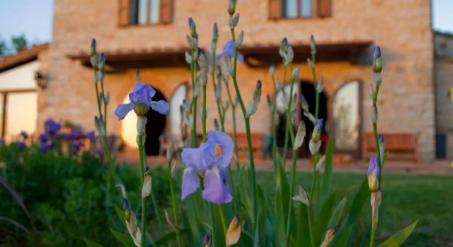 Sasseta Alta, Buchen Sie Hotel Scansano Toskana