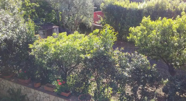 Nel Giardino Fiorito