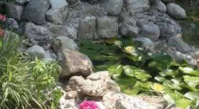Guesthouse Bagira, Varaa Hotelli New Athos Gudauta district