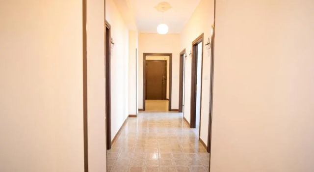 Номер Standard La Pavoncella Blu