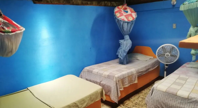 Трёхместный номер Economy Hotel El Delfin