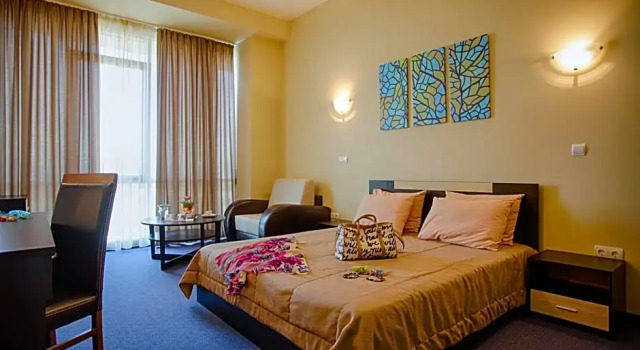 Iş tek kişilik süit Hemus Hotel Sofia