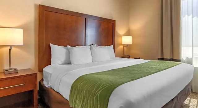 Номер Standard Comfort Inn & Suites Edgewood