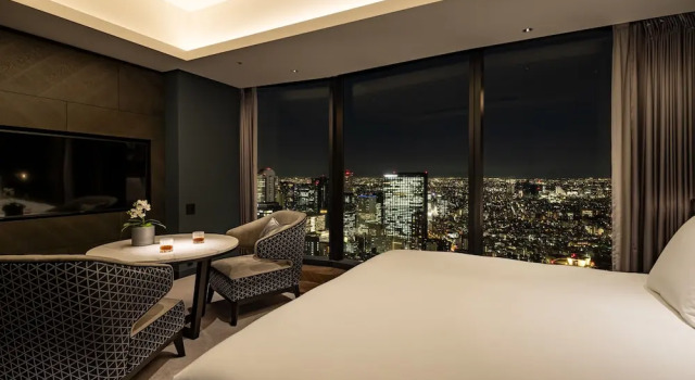 Двухместная студия BELLUSTAR TOKYO, A Pan Pacific Hotel