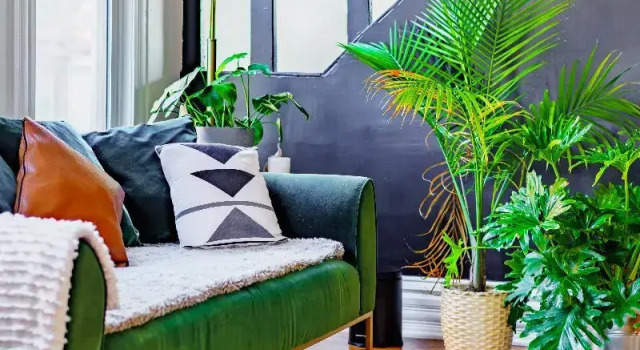 Номер Standard с 3 комнатами с балконом Jungle House Luxury Stays - Downtown Columbus & Short North