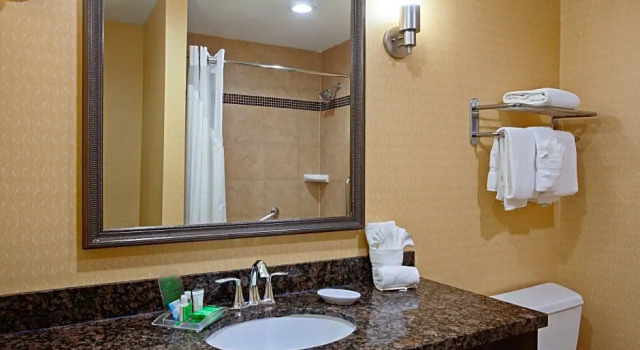 Четырёхместный люкс c 1 комнатой Holiday Inn & Suites San Mateo - SFO by IHG