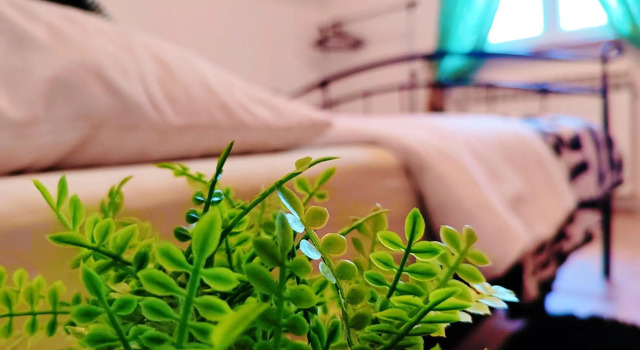 Zagreb, Apartman Jezz, Rezerwuj Apartament Zagrzeb Chorwacja