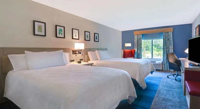 Четырёхместный номер Standard Hilton Garden Inn Jacksonville Orange Park
