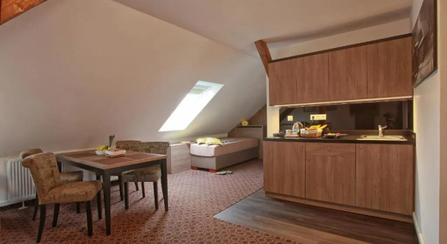 Семейный номер Standard Vysocina Design Apartments
