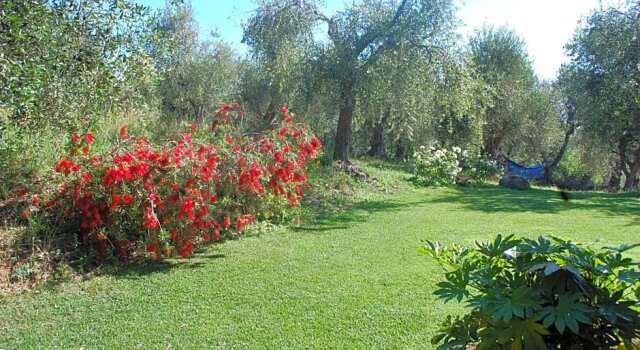 Il Pino, Book Hotel Vetulonia Tuscany