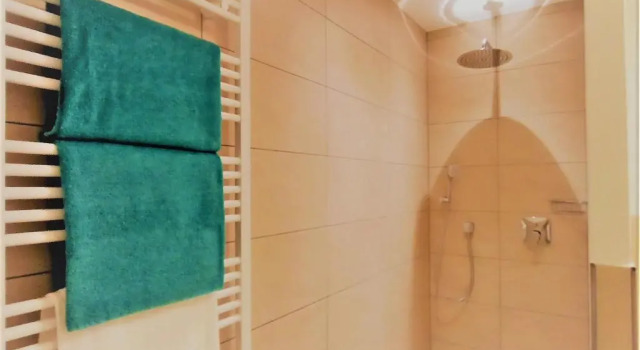 Апартаменты BodenSEE City Apartment Friedrichshafen CASA GRAF