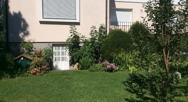 Апартаменты с видом на сад Austria Center - Wien an der Donau