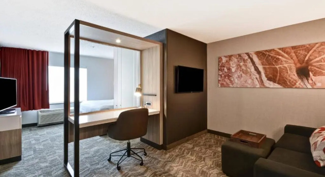 Двухместный люкс SpringHill Suites by Marriott Indianapolis Airport/Plainfield