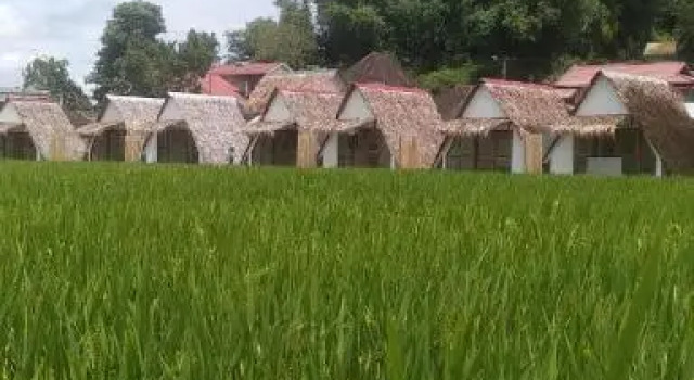 Bamboo Shack