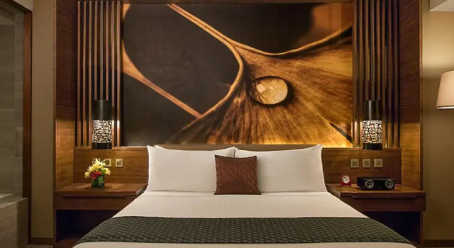 Люкс Superior Marco Polo Ortigas Manila