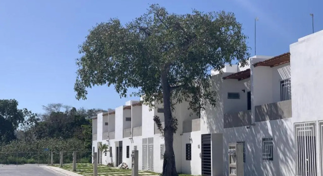 La Casa del Arbol -4bed 3 bath