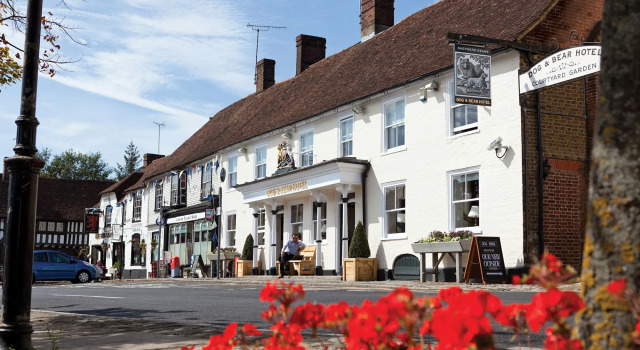 Dog & Bear Hotel