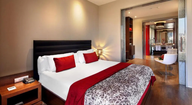 Люкс Olivia Plaza Hotel
