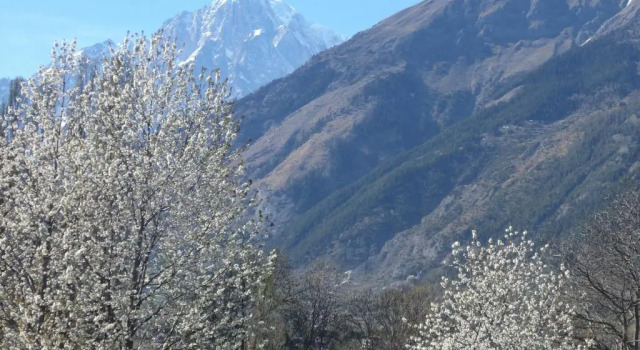 Номер Standard VillAmour Boutique Hotel & SPA