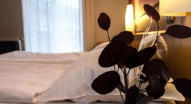 Номер Standard Hotel-Restaurant Zur Mühle