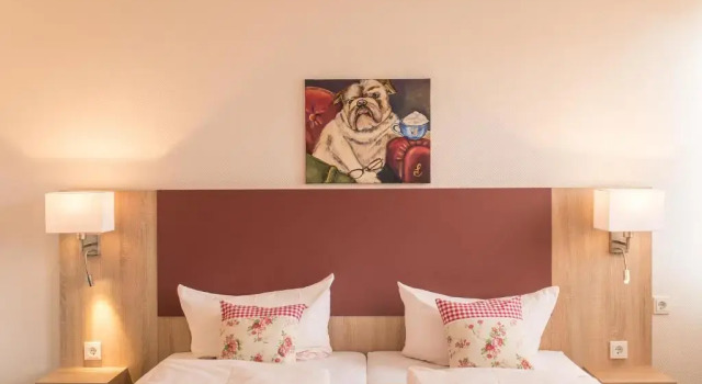 Двухместный номер Standard Hotel Leander