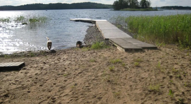 Nestorinranta Resort, Prenota Resort Lintusalo Saimaa