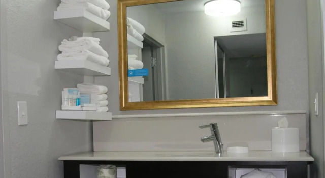 Двухместный номер Mobility/Hearing Access Hampton Inn & Suites Nashville-Airport