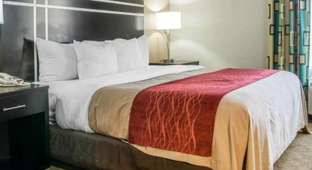 Одноместный люкс Comfort Inn & Suites Maumee - Toledo I80-90