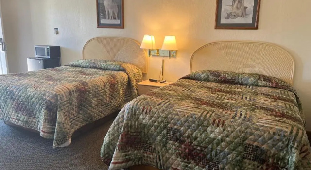 Standard Vierer Zimmer Gray Wolf Lodge