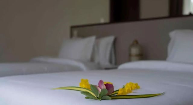 Двухместный номер Standard Cocoland River & Beach Resort