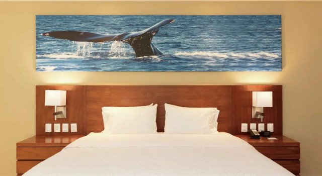 Двухместная Студия люкс Hampton Inn & Suites by Hilton Los Cabos
