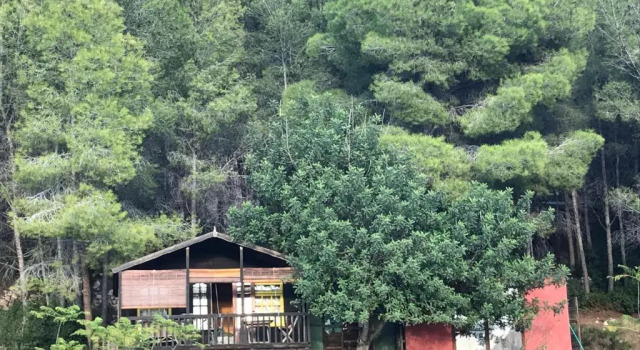 Шале Casa del Paso
