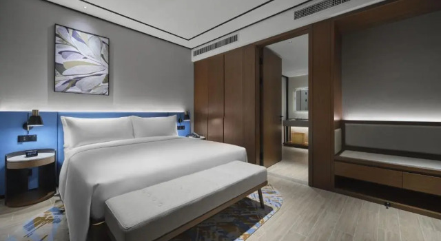 Двухместный люкс Deluxe Hilton Garden Inn Jincheng Gushuyuan