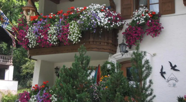 Апартаменты Apartements Ingrid Unhoch-Raggl