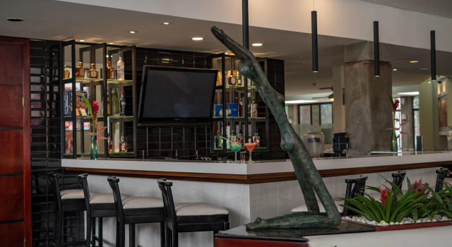Hotel Palma Real