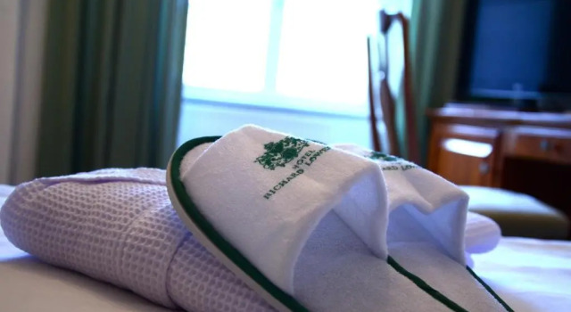 Номер Standard Hotel Richard Löwenherz