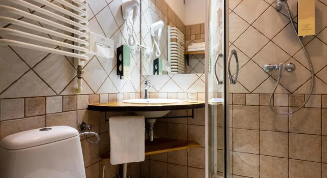 Трёхместный номер Standard Hotel Batory