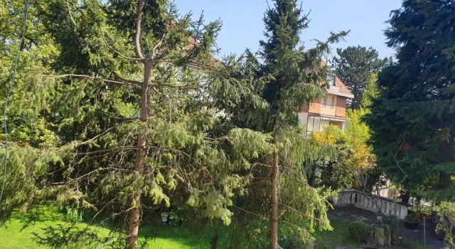 Апартаменты c 1 комнатой Relax City Apartments